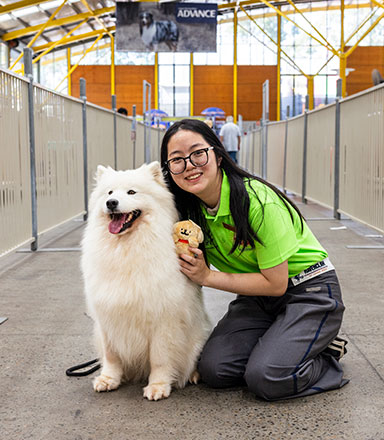 Careers & Volunteering