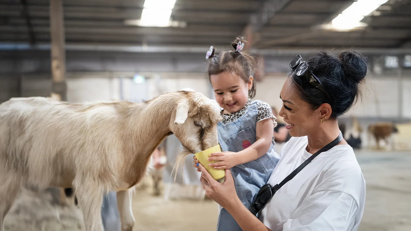 Sydney Royal Easter Show
