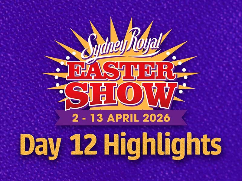 Day 12 Highlights