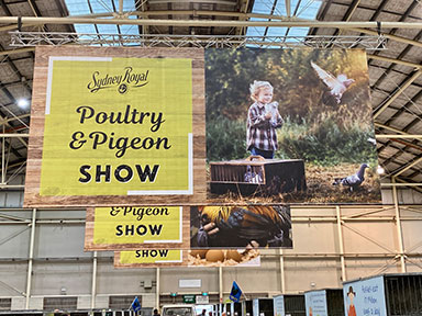 Poultry & Pigeon Pavilion